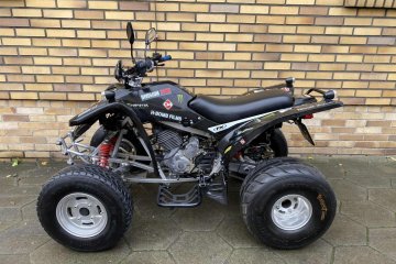 ADLY 300 atv